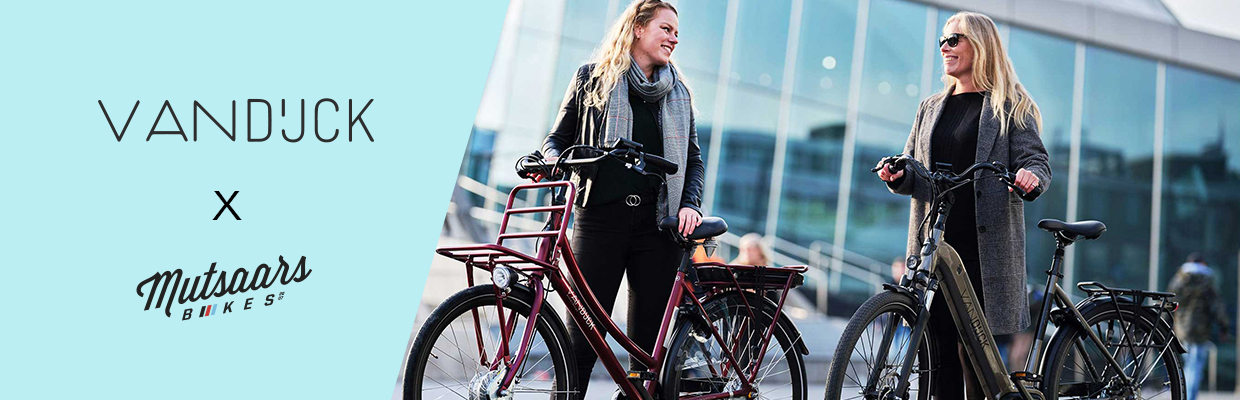 VanDijck E-bikes