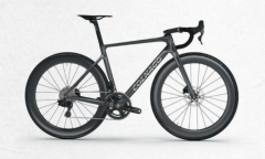 Colnago V4 Grey