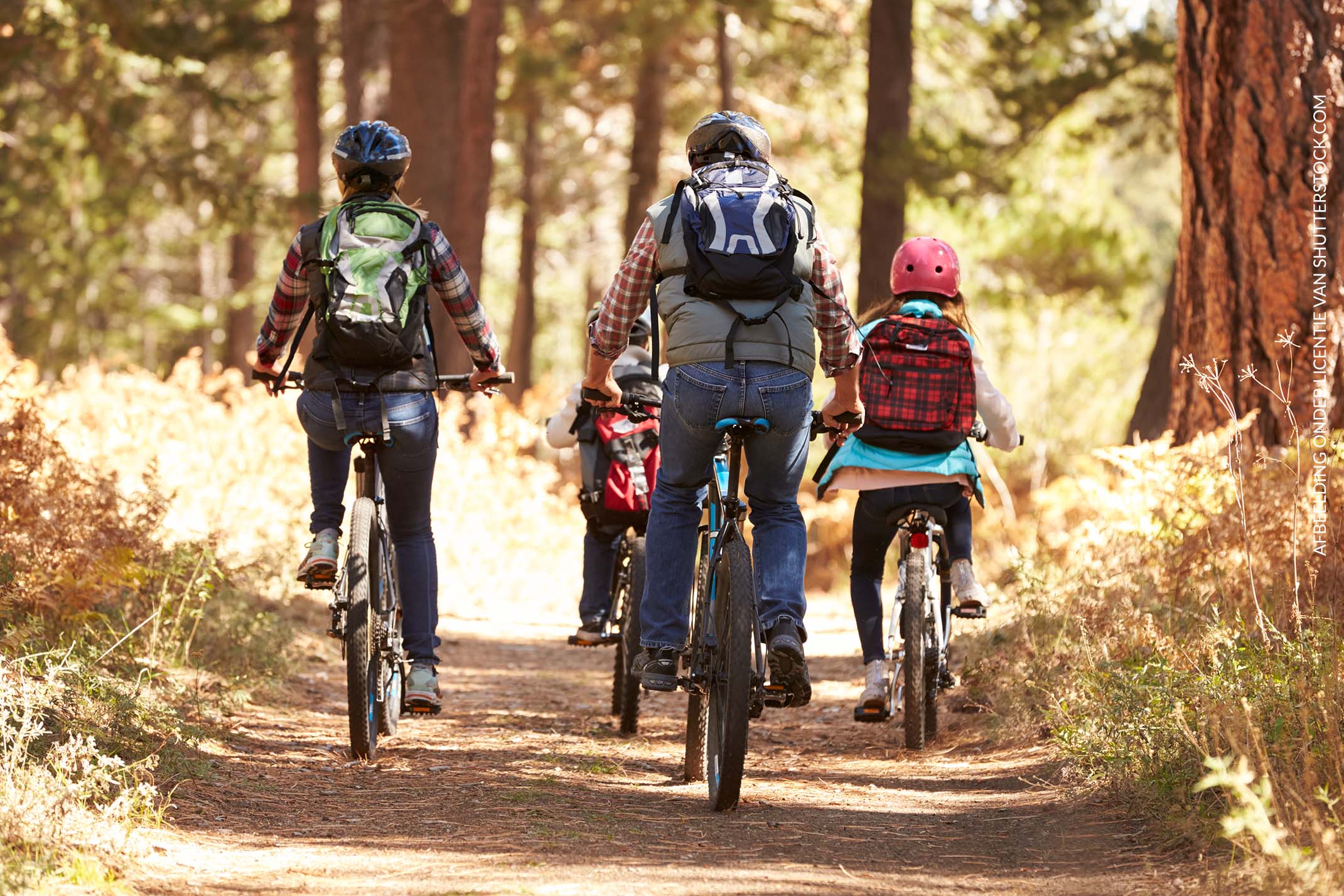 Jouw fiets mee op vakantie!